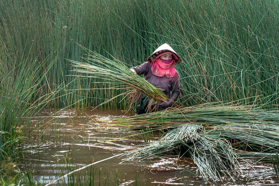 The Importance of Water Conservation Practices