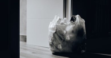 How to Reduce Food Waste at Home