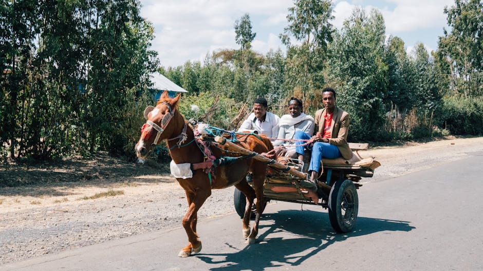 Eco-Friendly Travel Tips for Conscious Explorers