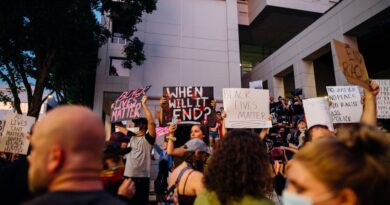 Exploring Intersectionality in Advocacy Movements