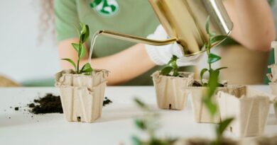 The Importance of Water Conservation Practices