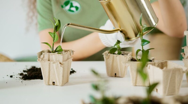 The Importance of Water Conservation Practices