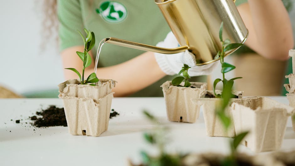The Importance of Water Conservation Practices