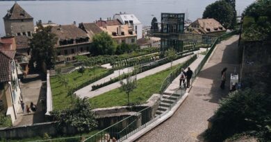 How Community Gardens Enhance Local Well-Being