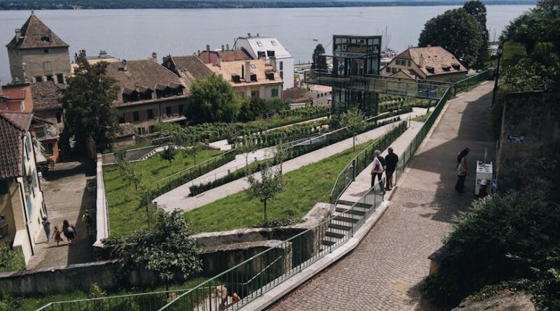 How Community Gardens Enhance Local Well-Being