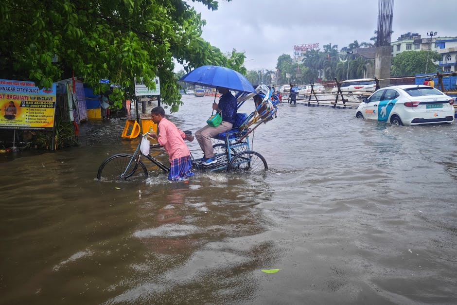Fostering Resilience in Local Communities