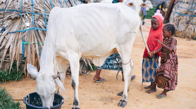 Empowering Women: Key to Community Development