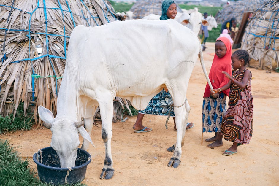 Empowering Women: Key to Community Development